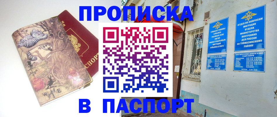 пропишу в квартире в Мурманской области